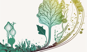 Organic farm vs. conventional: what to choose and why | AgriCook